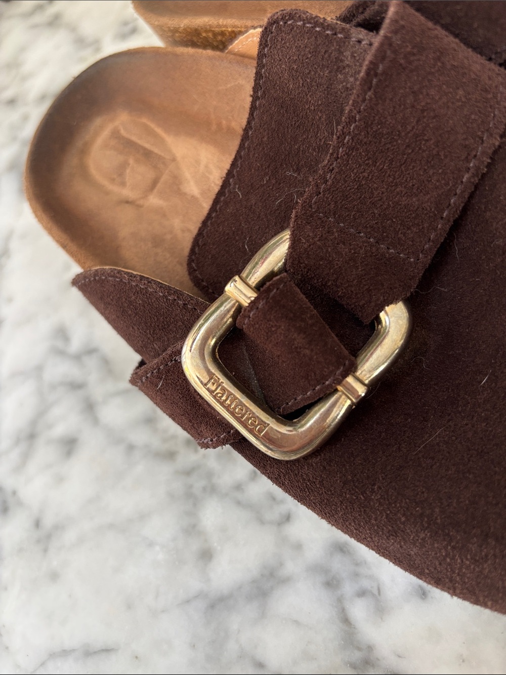 Flattered Dark Brown Suede Buckle Clogs - Picture 2 of 6